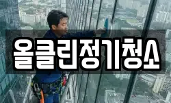 올클린정기청소