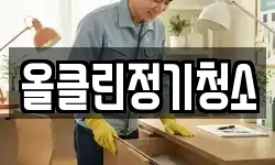 올클린정기청소