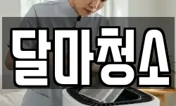 달마청소