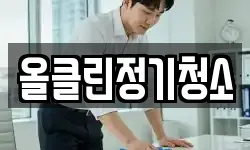올클린정기청소