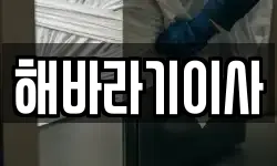 전북 전주시 완산구 중앙동4가 이사,용달이사,포장이사,원룸이사,보관이사