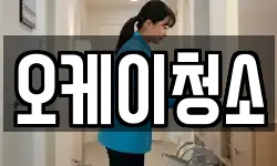 오케이청소