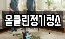 올클린정기청소