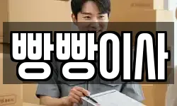 빵빵이사