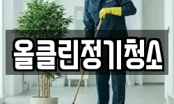 올클린정기청소