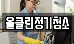 전북 전주시 완산구 태평동 청소,입주청소,사무실청소,에어컨청소