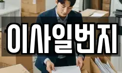 이사일번지