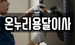 온누리용달이사