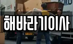 해바라기이사