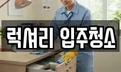 럭셔리 입주청소