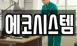 에코시스템