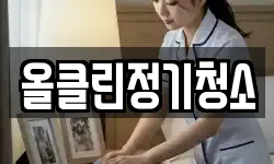 올클린정기청소
