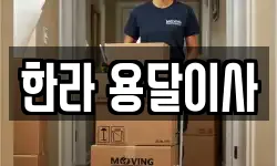 한라 용달이사