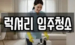 럭셔리 입주청소
