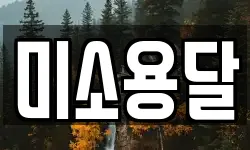 미소용달