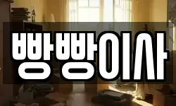 빵빵이사
