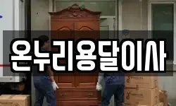 온누리용달이사