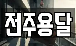 전주용달