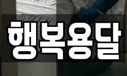 행복용달