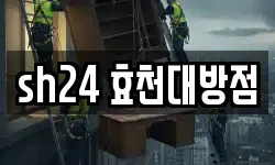 sh24 효천대방점