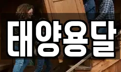 태양용달