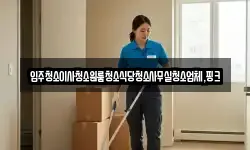 입주청소이사청소원룸청소식당청소사무실청소업체,핑크