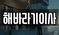 해바라기이사