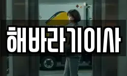 해바라기이사