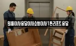 전북 정읍시 농소동 이사,용달이사,포장이사,원룸이사,보관이사