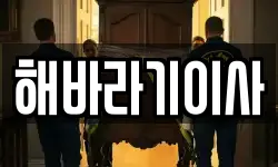 해바라기이사