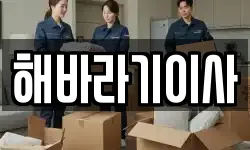 해바라기이사
