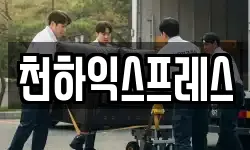 천하익스프레스