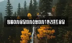 전북 정읍시 신월동 이사,용달이사,포장이사,원룸이사,보관이사