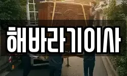 해바라기이사