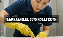 청소업체집청소업체아파트청소업체입주청소이사청소업체