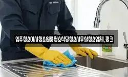 입주청소이사청소원룸청소식당청소사무실청소업체,핑크