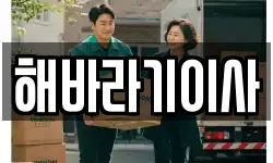 해바라기이사