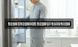 청소업체집청소업체아파트청소업체입주청소이사청소업체