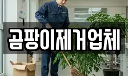 곰팡이제거업체