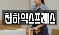 천하익스프레스