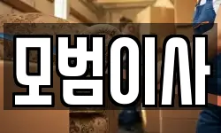 모범이사