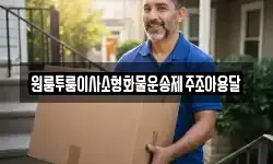 원룸투룸이사소형화물운송제주조아용달
