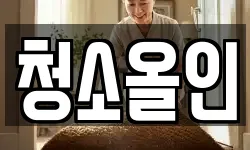 청소올인