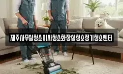 제주사무실청소이사청소화장실청소정기청소센터