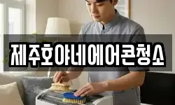 제주호야네에어콘청소