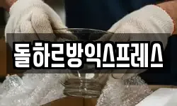 돌하르방익스프레스