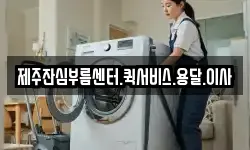 제주잔심부름센터.퀵서비스.용달.이사