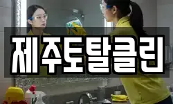 제주토탈클린