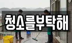 청소를부탁해