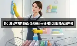 하수구뚫음막힌변기뚫음싱크대뚫는곳배관청소내시경고압세척펑
